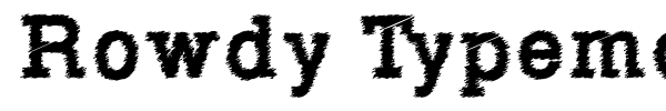 Rowdy Typemachine font preview